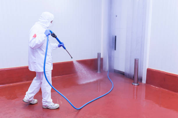 Best Spring Cleaning  in Grenelefe, FL